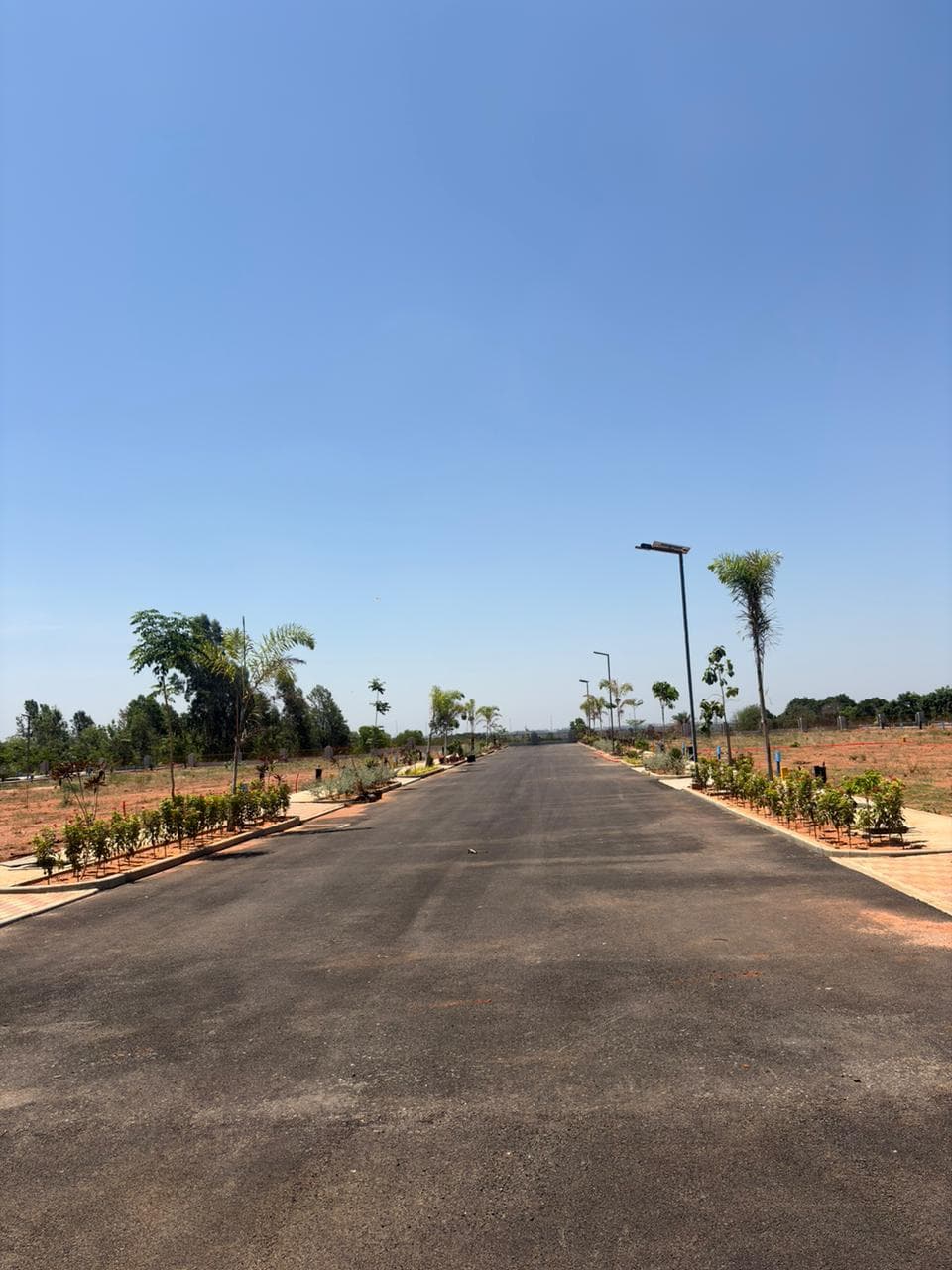 Madhuban site photograph 1